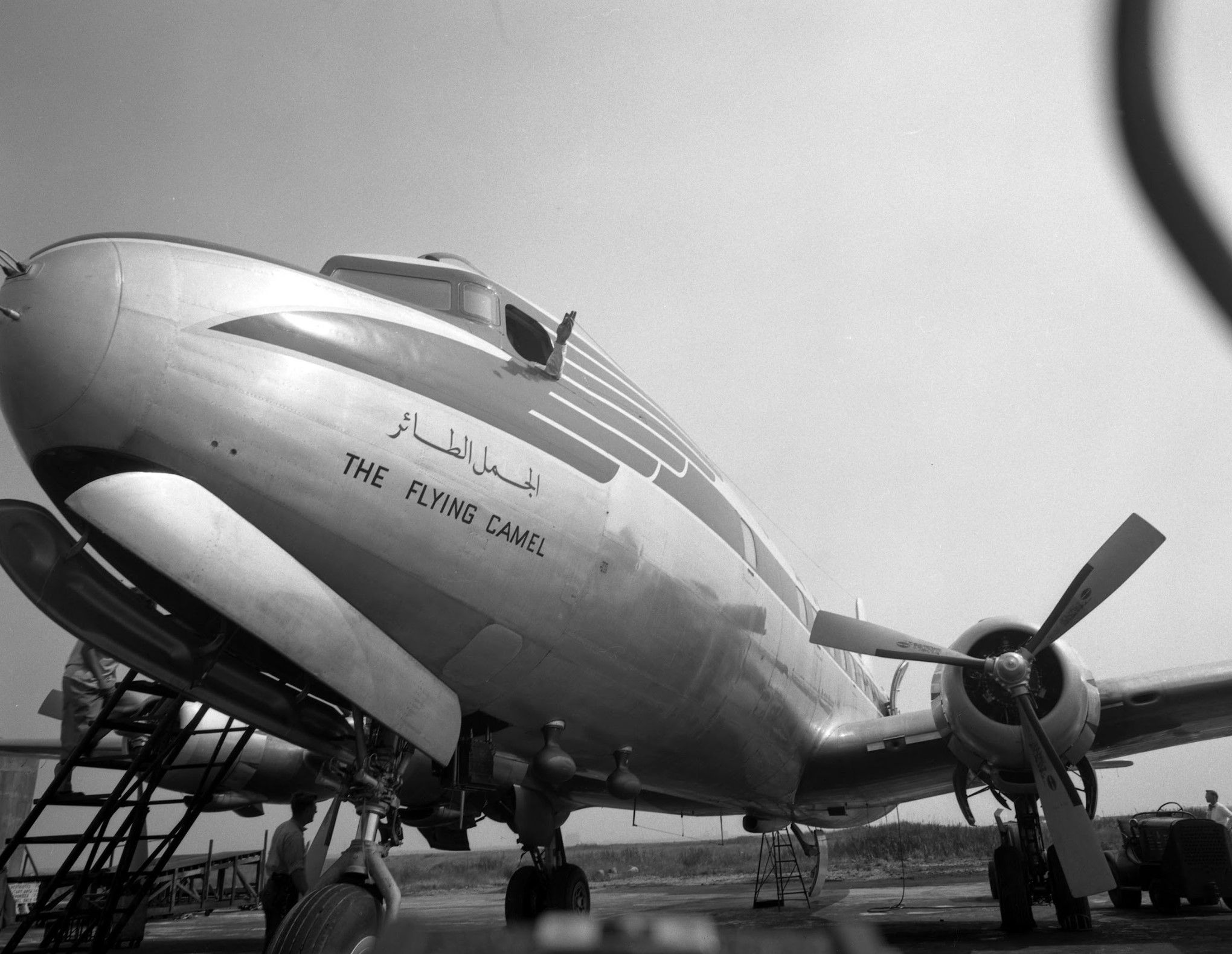 1952 | The “Flying Camel,” an Aramco airplane arrives in Dhahran. The gleaming exterior of the plane matches the beauty of its interior. Ordered from Douglas aircraft, the new DC6-B has begun to make regular flights between New York and Dhahran. Courtesy of Aramco Archives.
