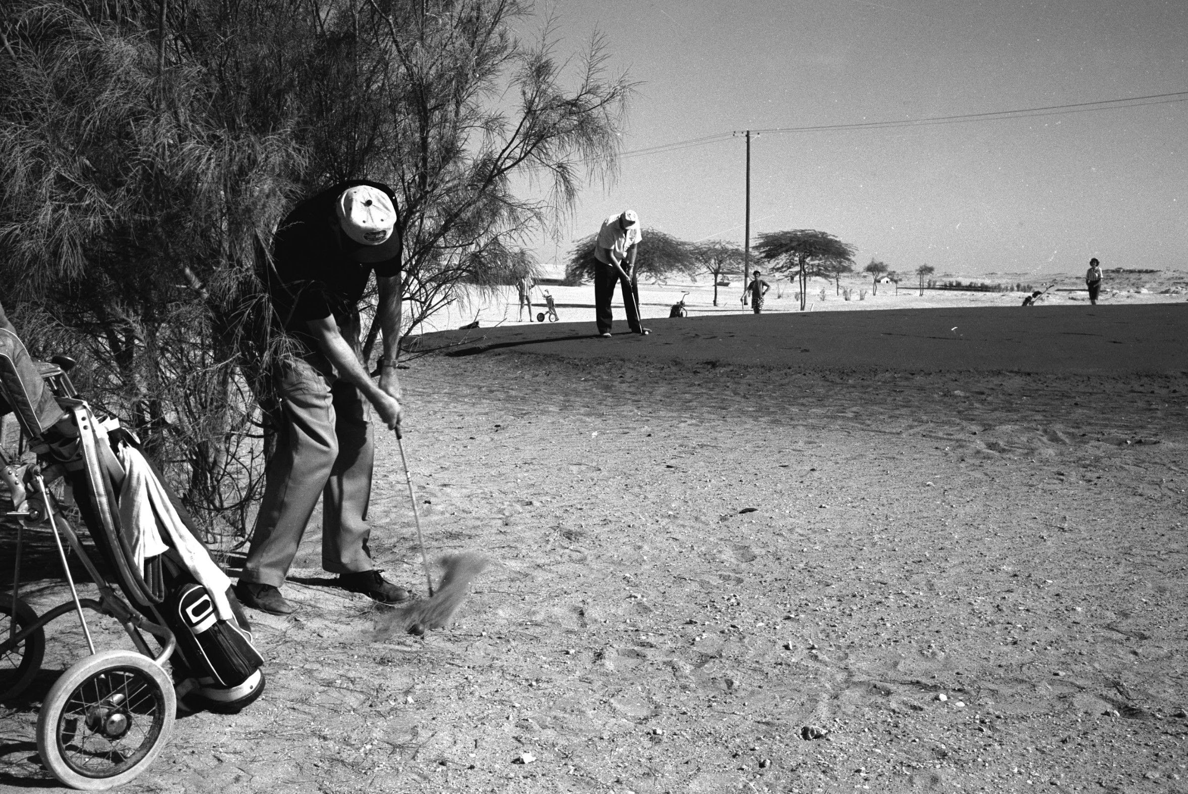 الظهران، 4 سبتمبر 1963باد بيدنهارن يُحاول تسديد الكرة من شجرة في ملعب رولينج هيلز للجولف. بإذن من أرشيف أرامكو. 