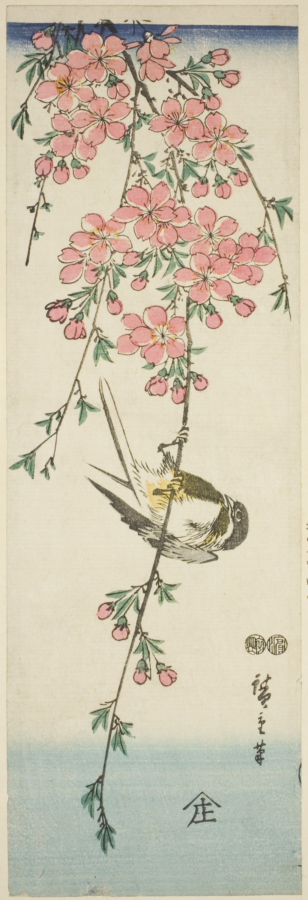Great tit and cherry blossoms By Utagawa Hiroshige. Color woodblock print; aitanzaku. Japanese, 1797-1858. Credit Line: Clarence Buckingham Collection. Public Domain.