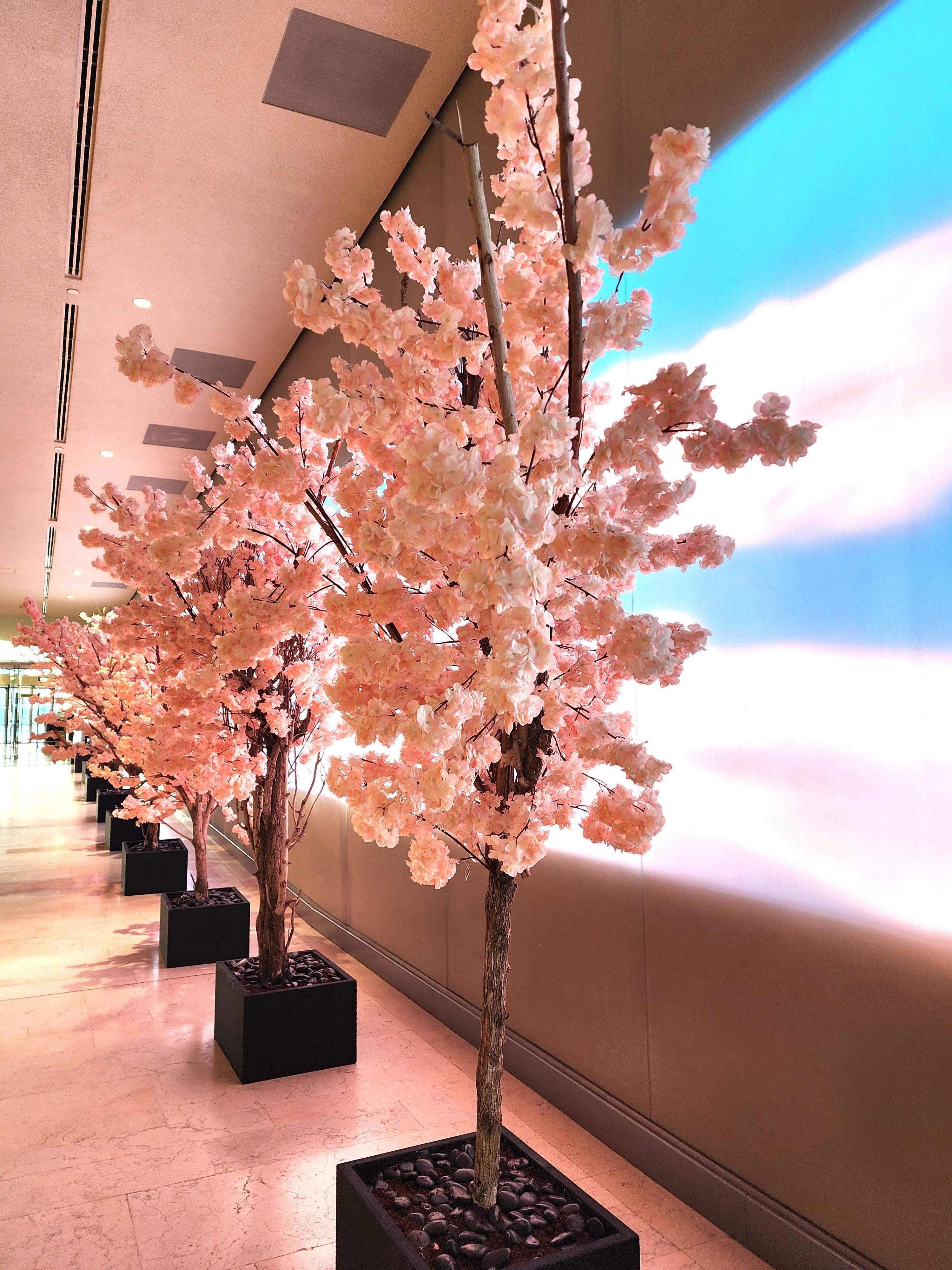 Cherry blossom comes to Ithra part of Japan Cultural Days — while artificial, still left an impact of awe on its visitors. Photo by Rym Al-Ghazal. 
