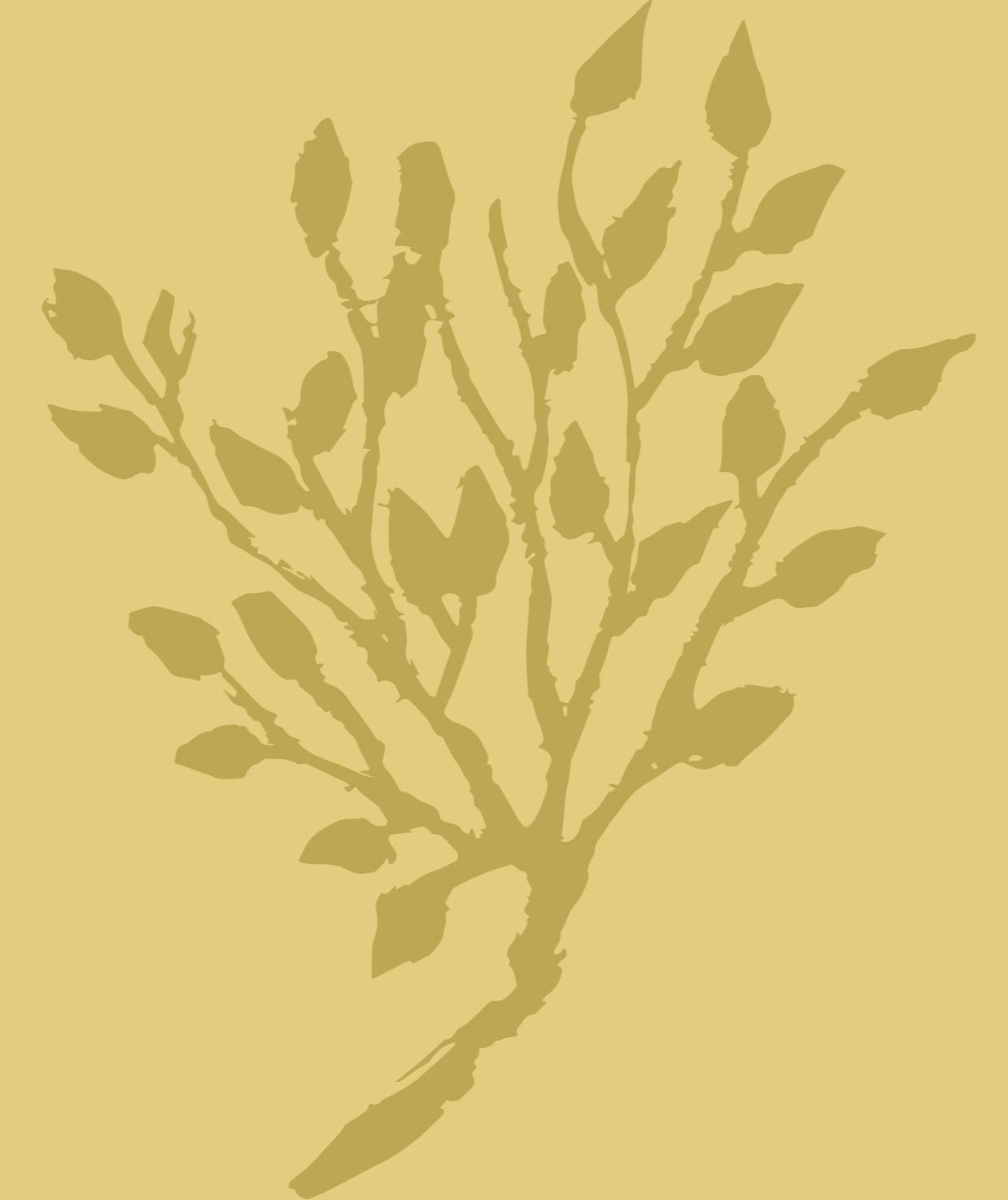 5 Desert-related Books to discover