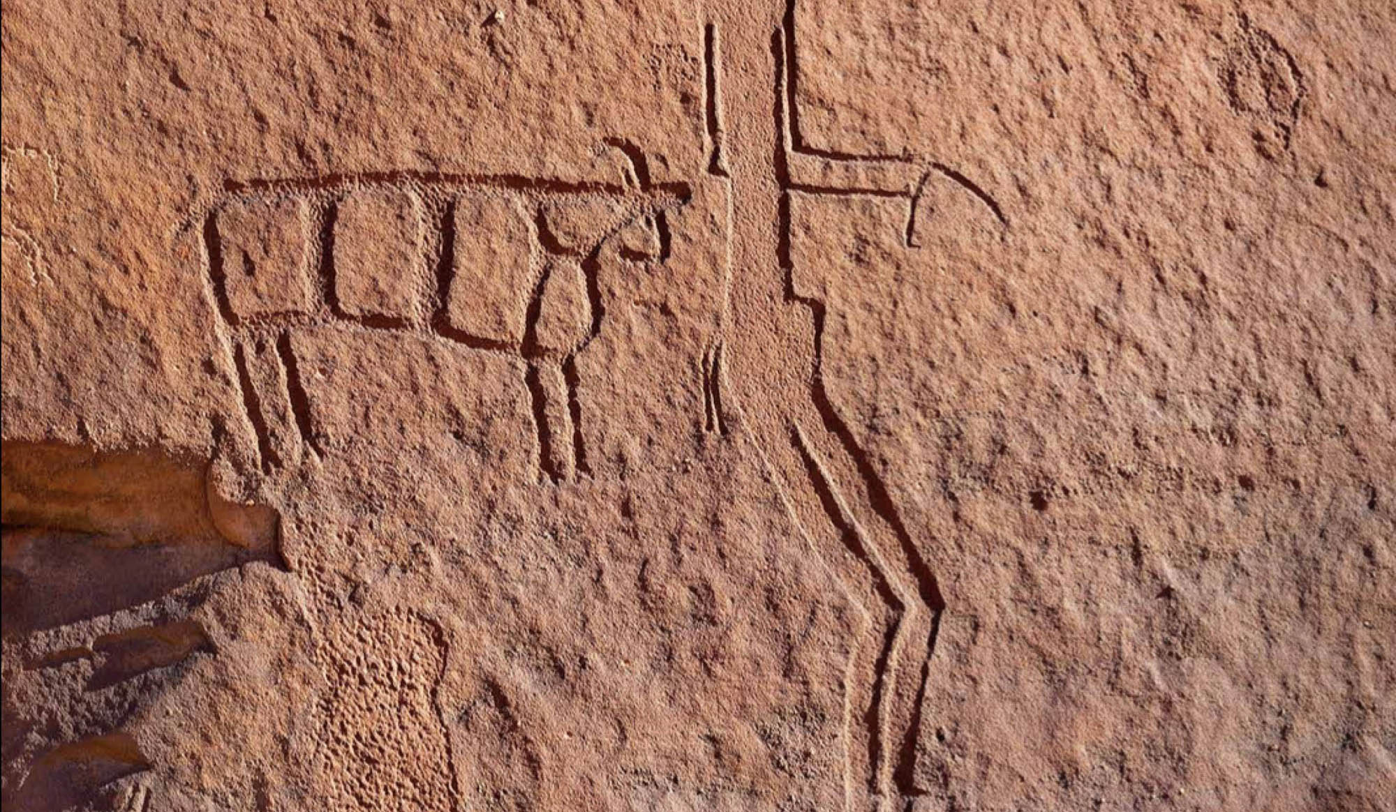 Depiction of boomerangs or “throwing sticks”