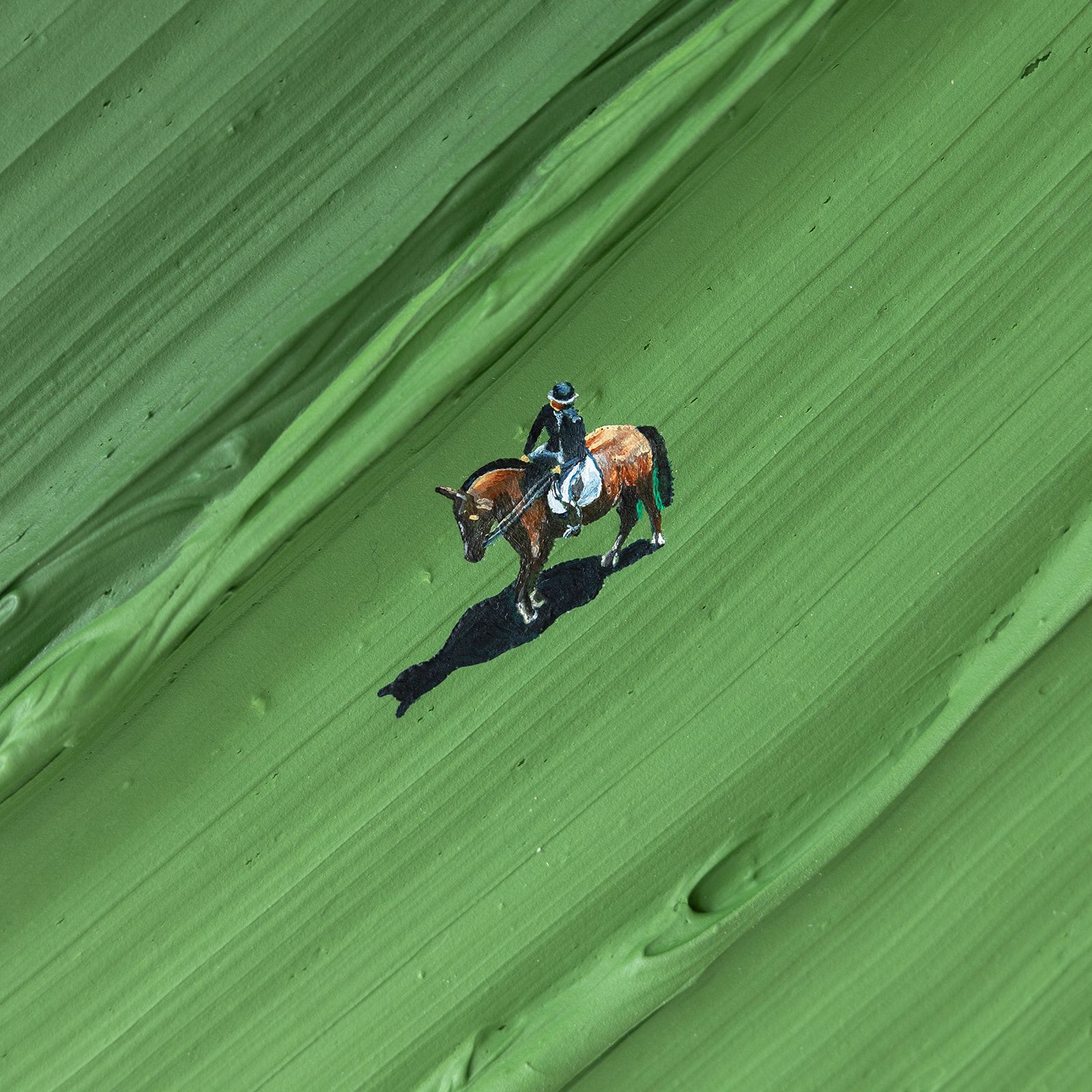 ‘Show Pony’, Courtesy of Werner Bronkhorst. 