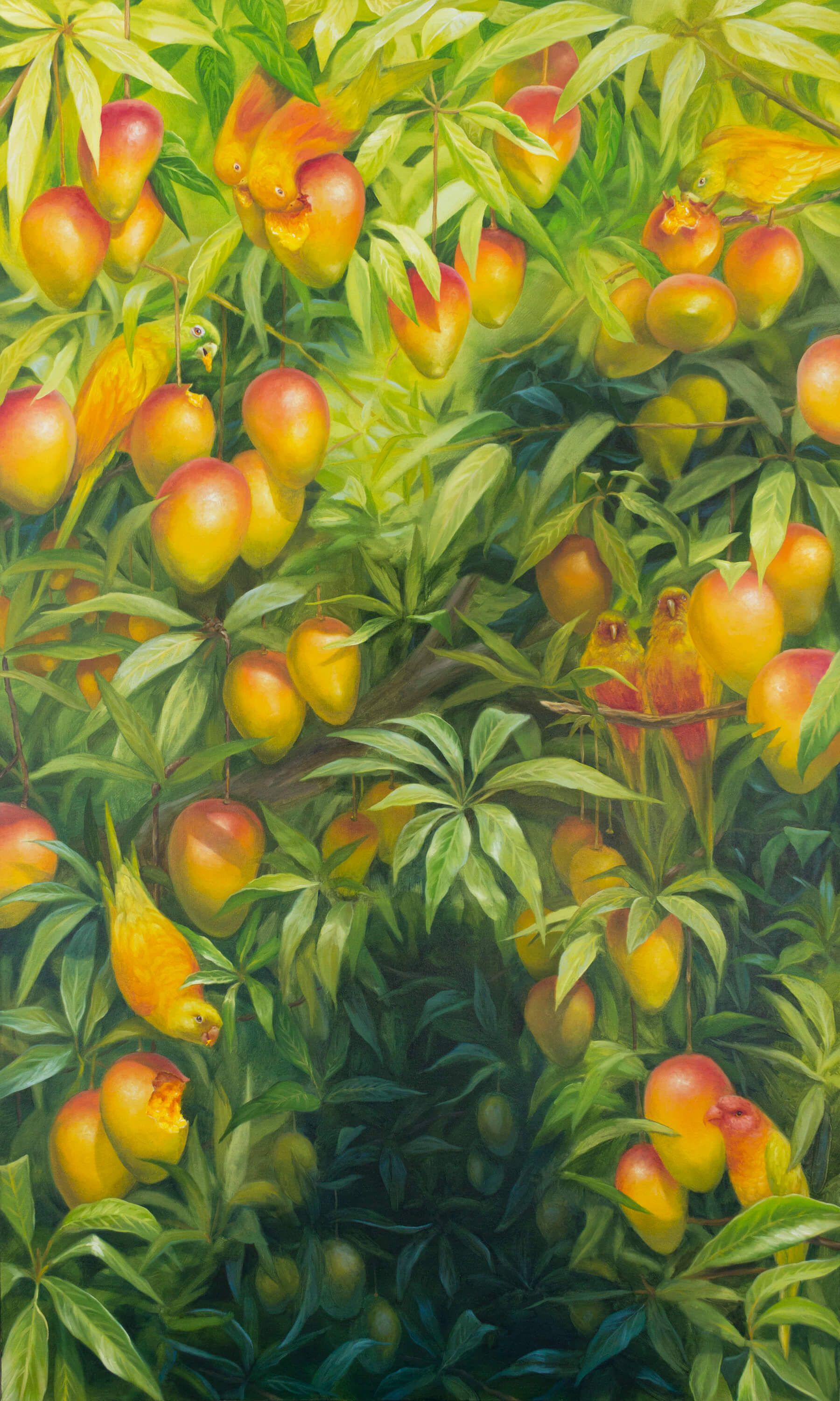 Mango Birds.
