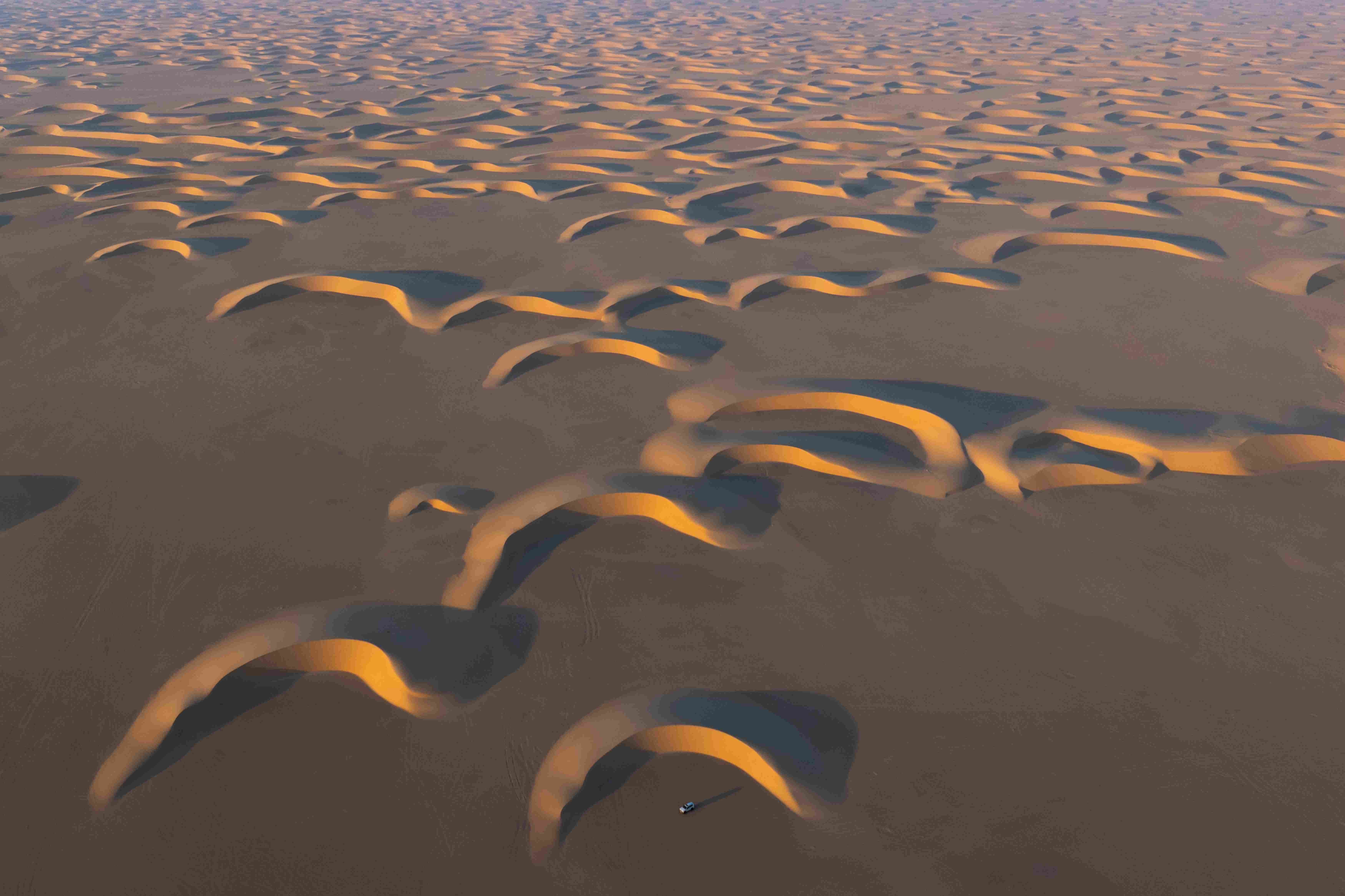 Crescent-Shaped Sand Dunes in Rub al Khali (Empty Quarter), A vehicle appears as a tiny white speck to illustrate the vast scale. Courtesy of Ibrahim Sarhan. 