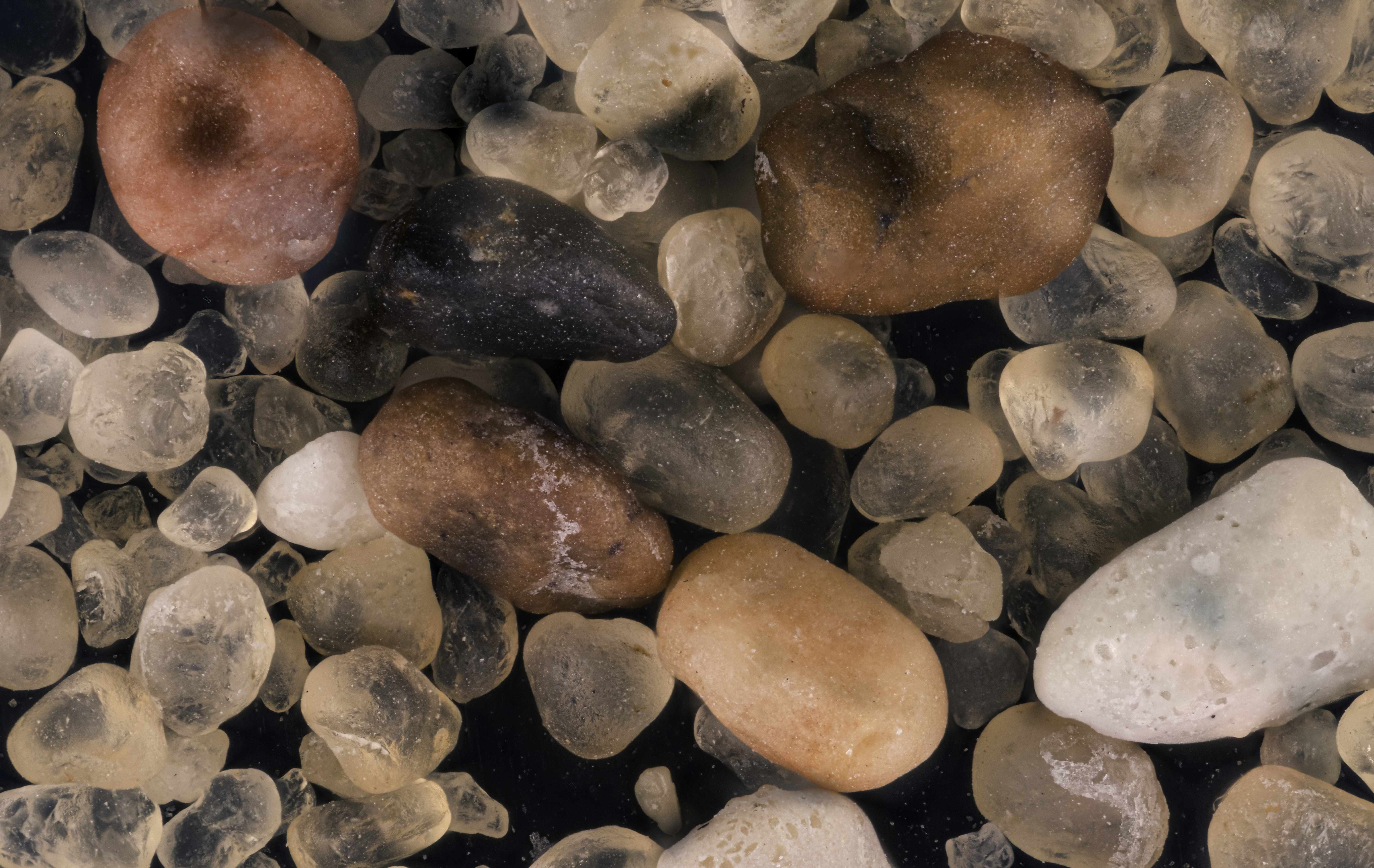 A 5x close-up of sand grains from Al-Hasa region. Courtesy of Mishal Alryhan. 