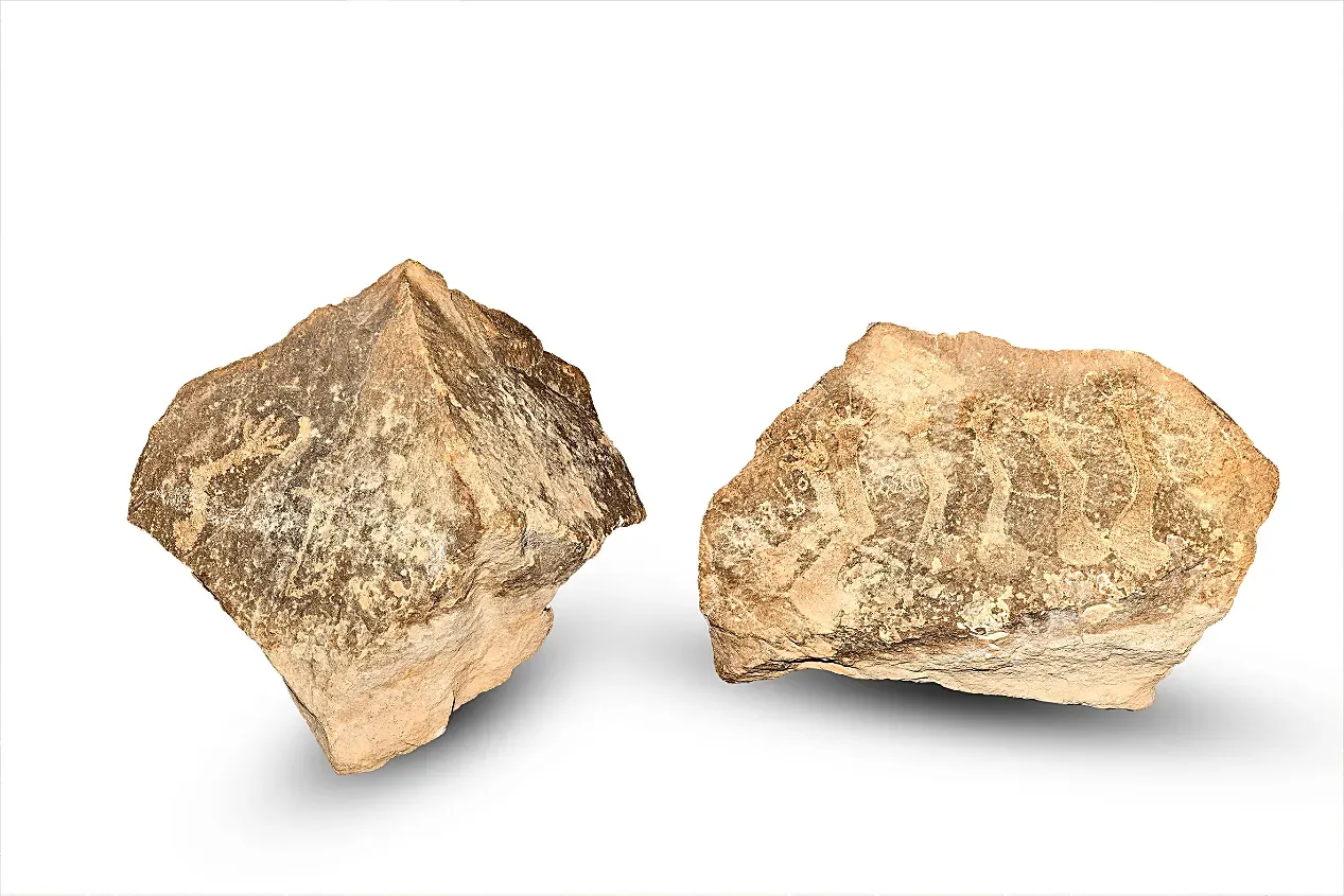 The Rock of the Seven Hands: The Roots of Rock Art and Engravings