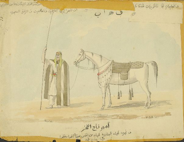The Gold-Bearded Prince of Arabian Horses
