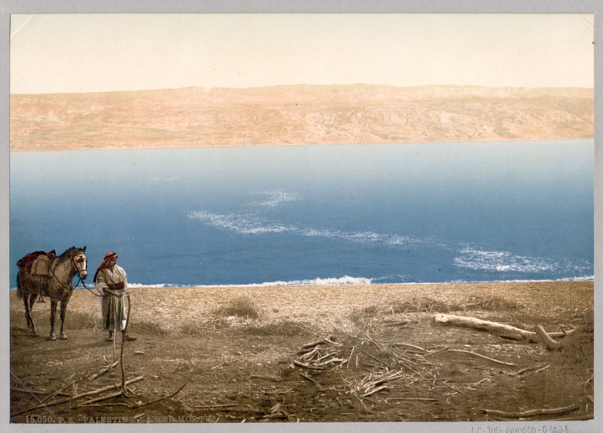  ‘Man with horse standing near the Dead Sea.’ Courtesy of Library of Congress. 