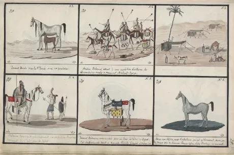 An excerpt from Count Rzewuski’s Sur les Chevaux Orientaux et Provenants des Races Orientales ("Concerning the Horses of the Orient and Those Originating from Oriental Breeds"). 1820 - 1830. Source: polona.pl.&nbsp;