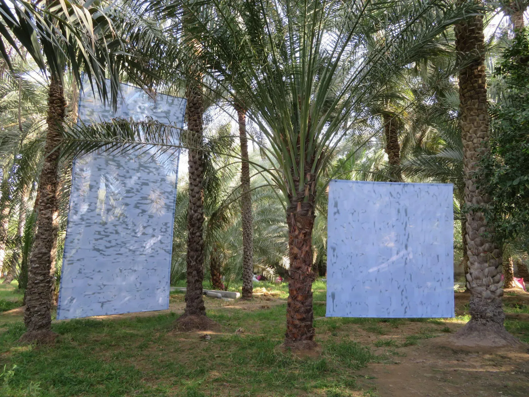 ‘You Are From Me and I Am From You.’ Manal AlDowayan. 2017. Courtesy of the artist.&nbsp;