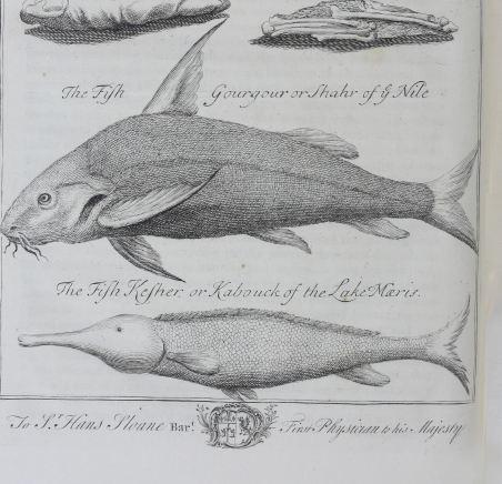 ‘A Description of the East, and Some Other Countries.’ Richard Pococke. 1743–1745. During his journey along the Nile, he recorded its seasonal floods and described how its waters were directed through canals and into areas such as Lake Moeris. Accompanied by illustrations of Nile fish and views of Thebes, the work offers a visual record of how water shaped travel, agriculture, and settlement in Egypt. (HC.FB.03831.01). Courtesy of the Heritage Collection Team in the Heritage Library, Qatar National Library.