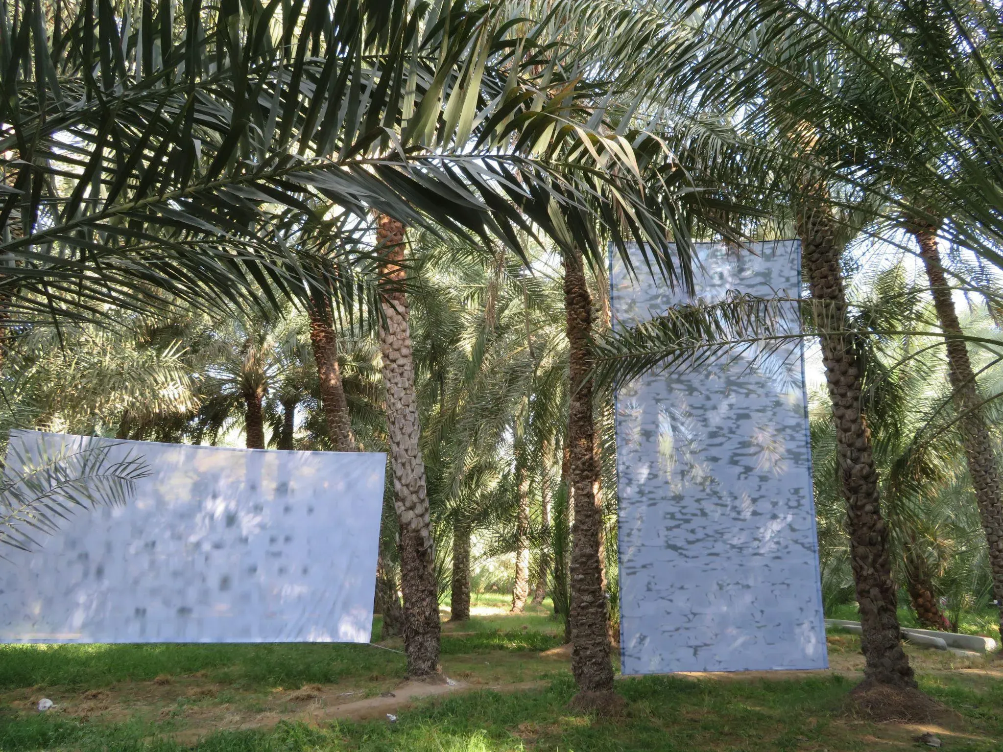 ‘You Are From Me and I Am From You.’ Manal AlDowayan. 2017. Courtesy of the artist.&nbsp;
