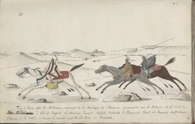 An excerpt from Count Rzewuski’s Sur les Chevaux Orientaux et Provenants des Races Orientales ("Concerning the Horses of the Orient and Those Originating from Oriental Breeds"). 1820 - 1830. Source: polona.pl.&nbsp;