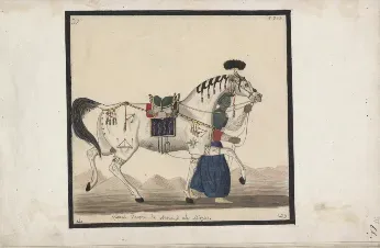 An excerpt from Count Rzewuski’s Sur les Chevaux Orientaux et Provenants des Races Orientales ("Concerning the Horses of the Orient and Those Originating from Oriental Breeds"). 1820 - 1830. Source: polona.pl.&nbsp;