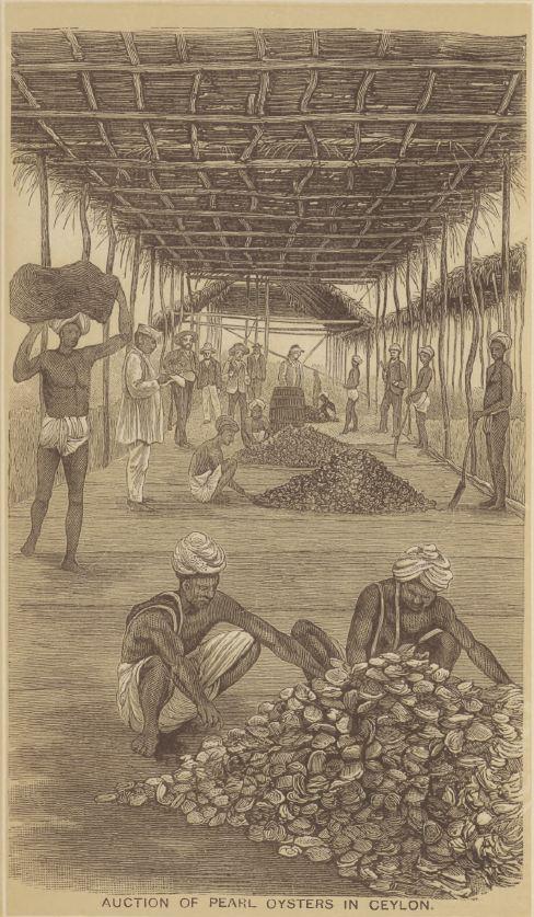 'Pearls and Pearling Life.' Edwin W. Streeter. 1886. This illustrated work explores the historical global pearl trade, with particular attention to the Arabian Gulf. Streeter describes pearl diving as a way of life shaped by the sea, where communities depended on maritime routes and seasonal expeditions, highlighting how water served not only as a route of travel, but as a source of livelihood and connection across the region. (HC.FB.2017.0072). Courtesy of the Heritage Collection Team in the Heritage Library, Qatar National Library.