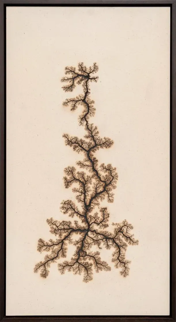 ‘Lichtenberg Drawing 11.’ Douglas White. 2026. 10,000 Volts on Board. 27 x 49 cm. Courtesy of Leila Heller Gallery and Doulgas White.&nbsp;