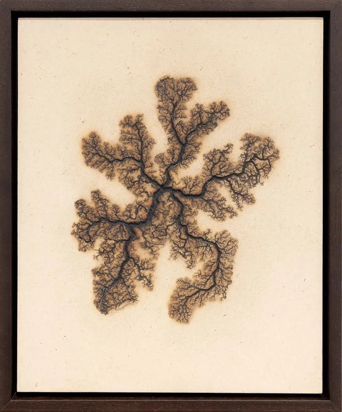 ‘Lichtenberg Drawing 14.’ Douglas White. 2026. 10,000 Volts on Board. 34 x 28 cm. Courtesy of Leila Heller Gallery and Doulgas White.&nbsp;
