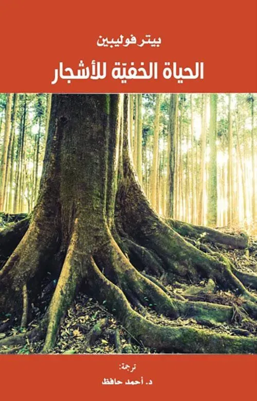 ما تحت السطح