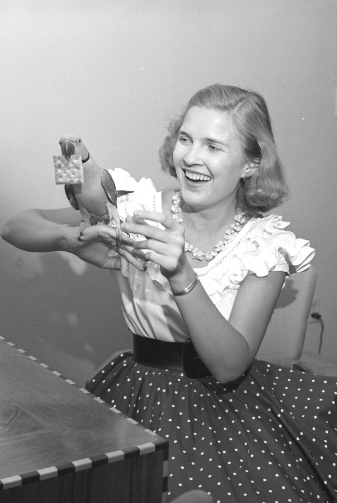 Love and laughter with our birds.