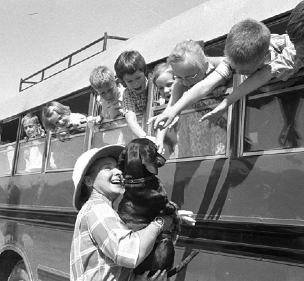 1957 Dhahran, March Students meet the loving dog