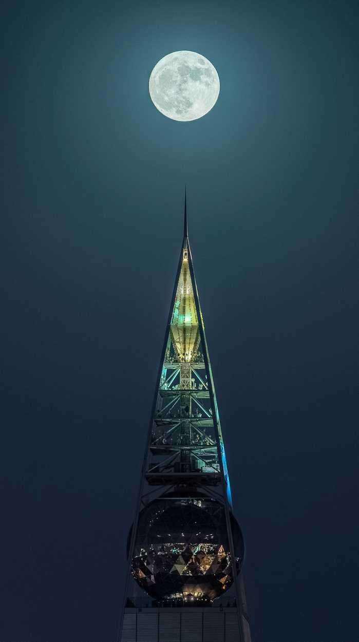 صور صالح الهذلول