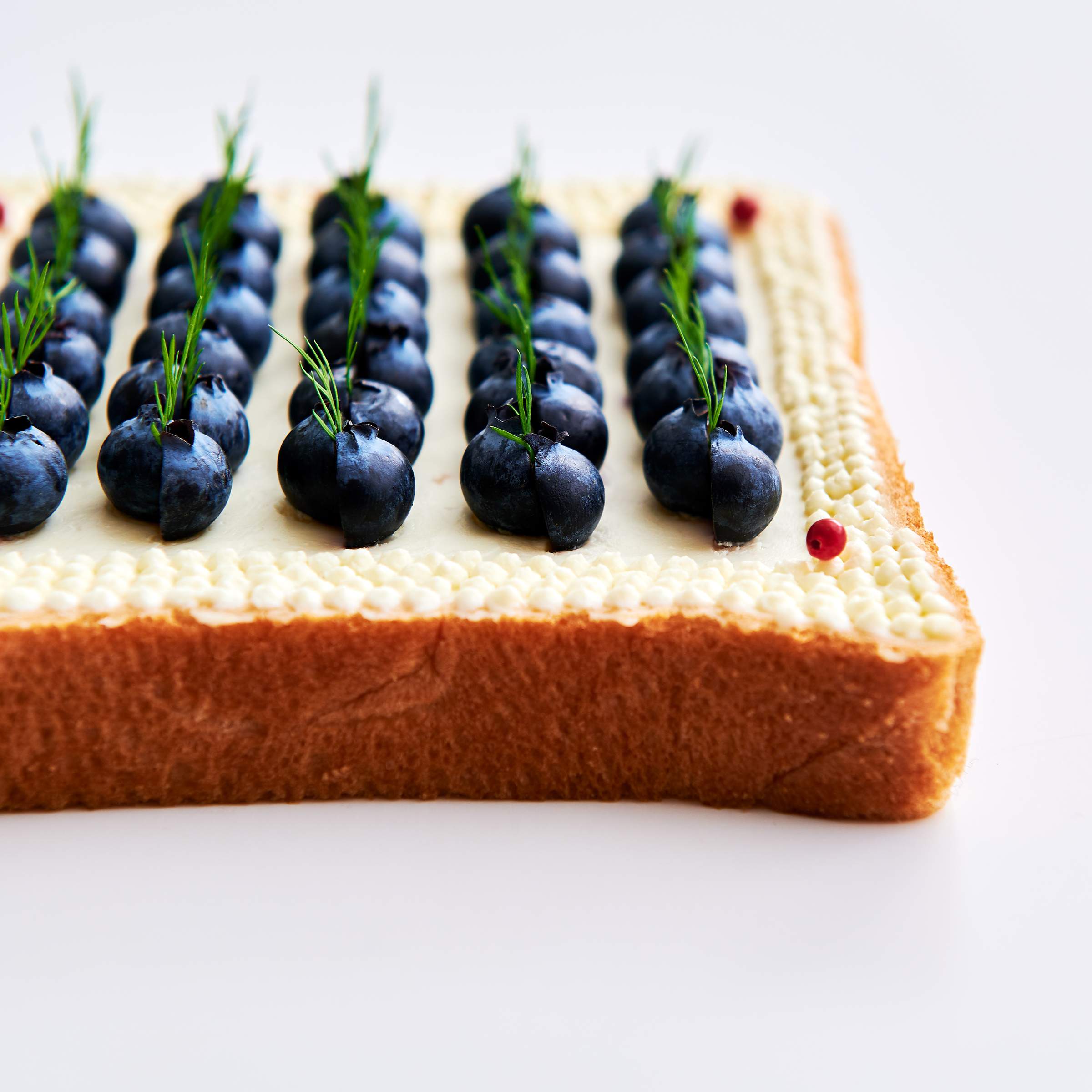 PLANTING toast. Courtesy of the artist.